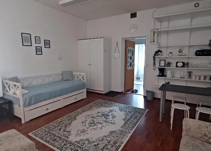 公寓 Toimisto-majoitus D *